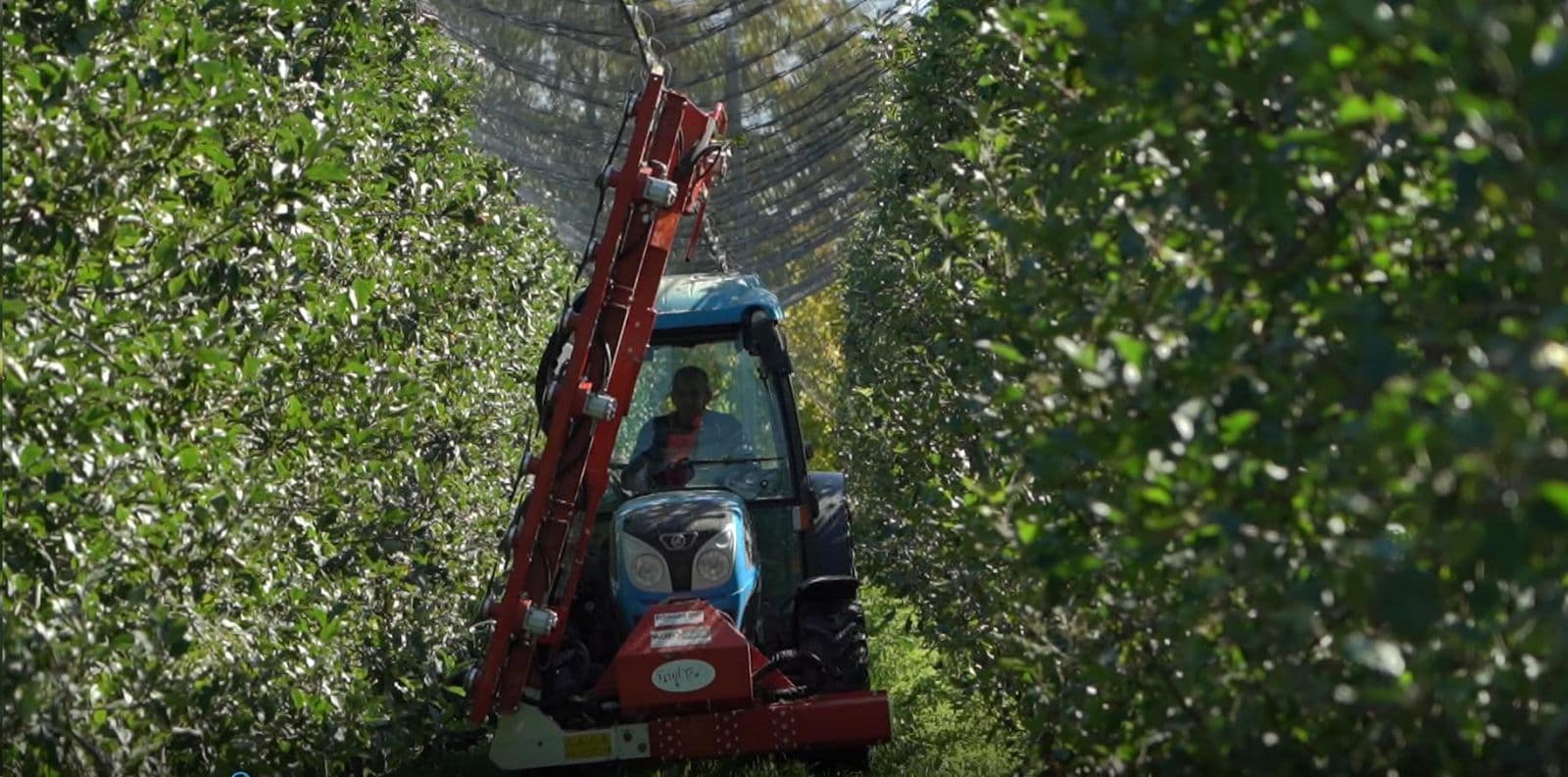 PROCEDEE TEHNOLOGICE MECANIZATE LA PLANTAȚIILE DE MĂR