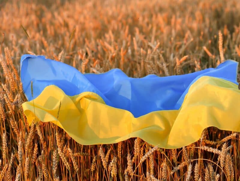 Polonia solicită limitarea cantității de cereale aduse din Ucraina