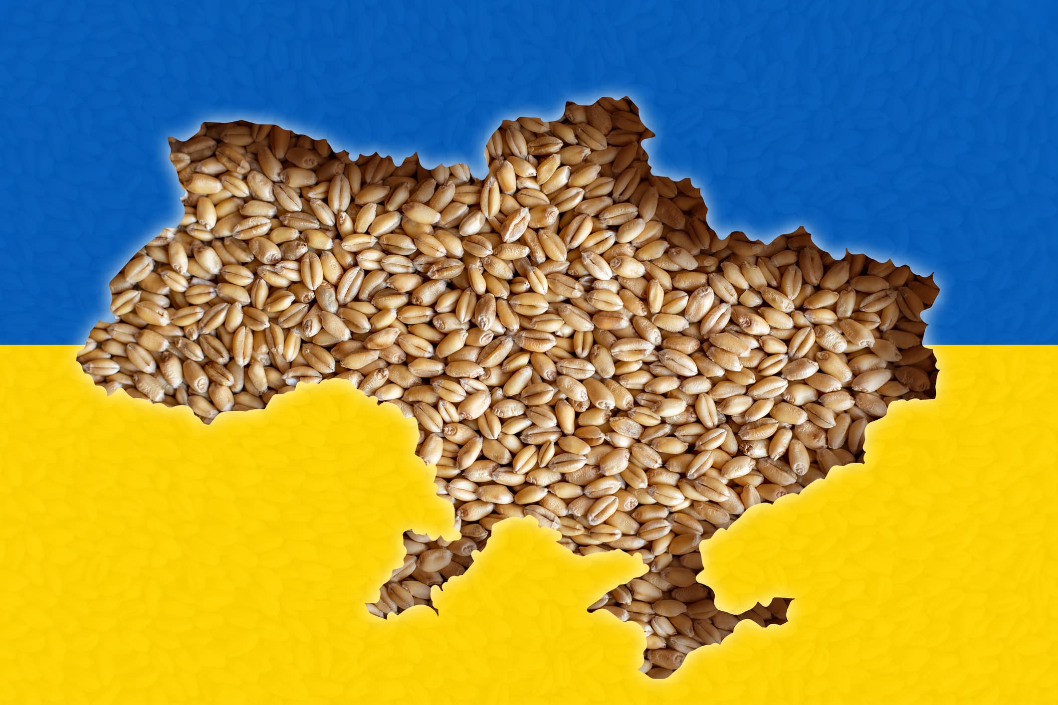 Fermierii se opun importului de cereale ucrainene