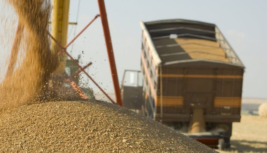 Cresc prețurile la cereale și oleaginoase