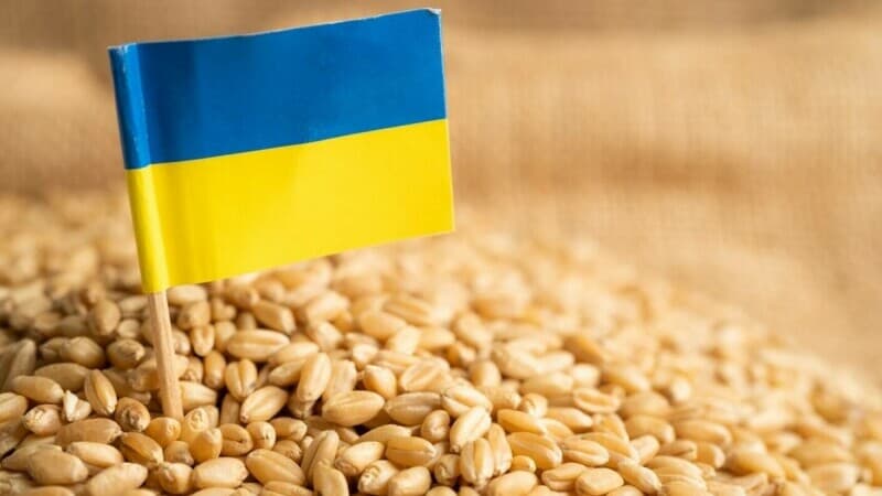 Ucraina rămâne în top 5 cei mai mari exportatori de cereale