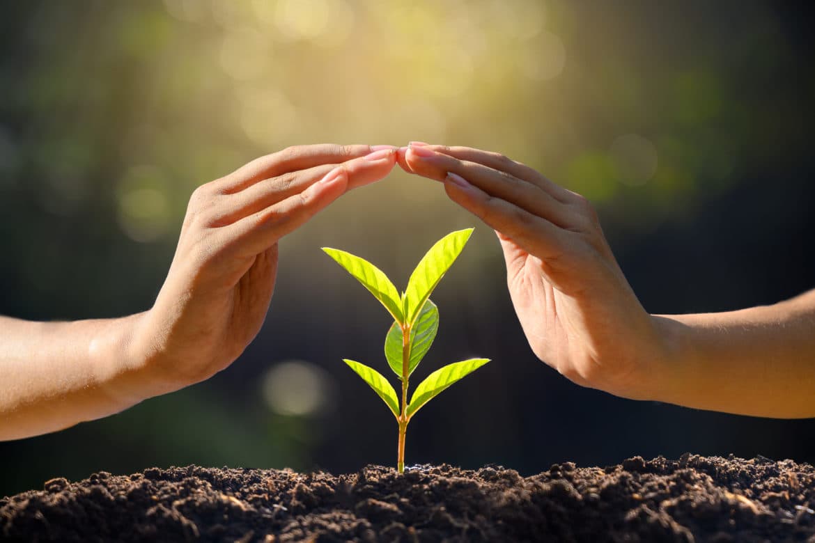 Republica Moldova aderă la Agroecology Coalition pentru o agricultură durabilă