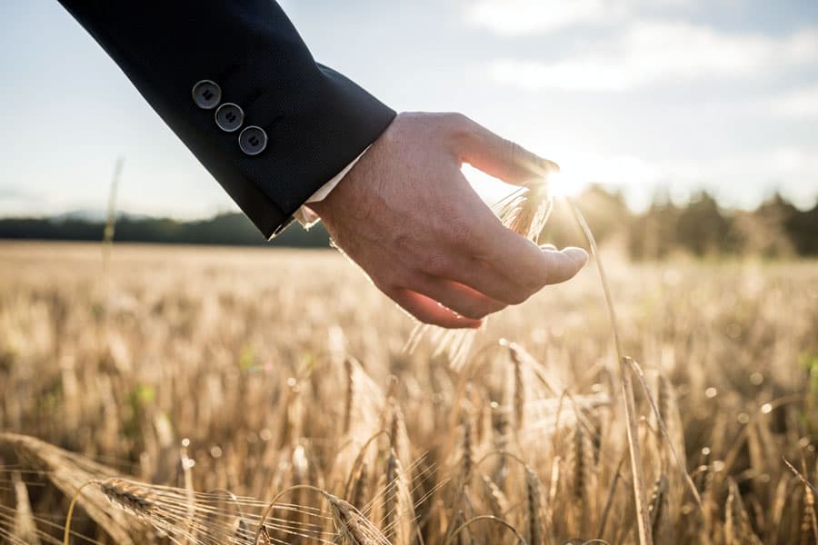 Asigurarea riscurilor de producție în agricultură, în pericol