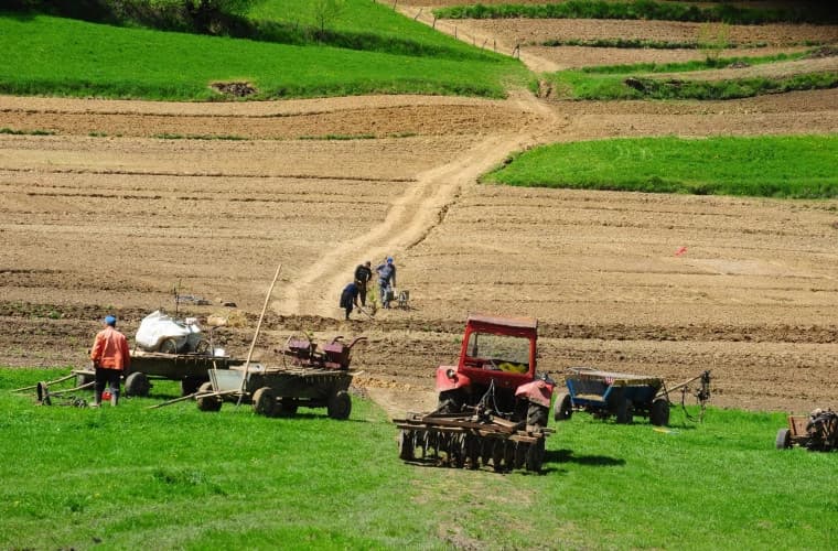 Proprietarii terenurilor cu destinație agricolă vor putea construi pe aceste terenuri depozite, frigidere, ferme și pensiuni agroturistice