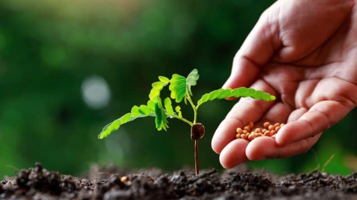 Doar 1% din suprafaţa agricolă a țării este cultivată în sistem ecologic