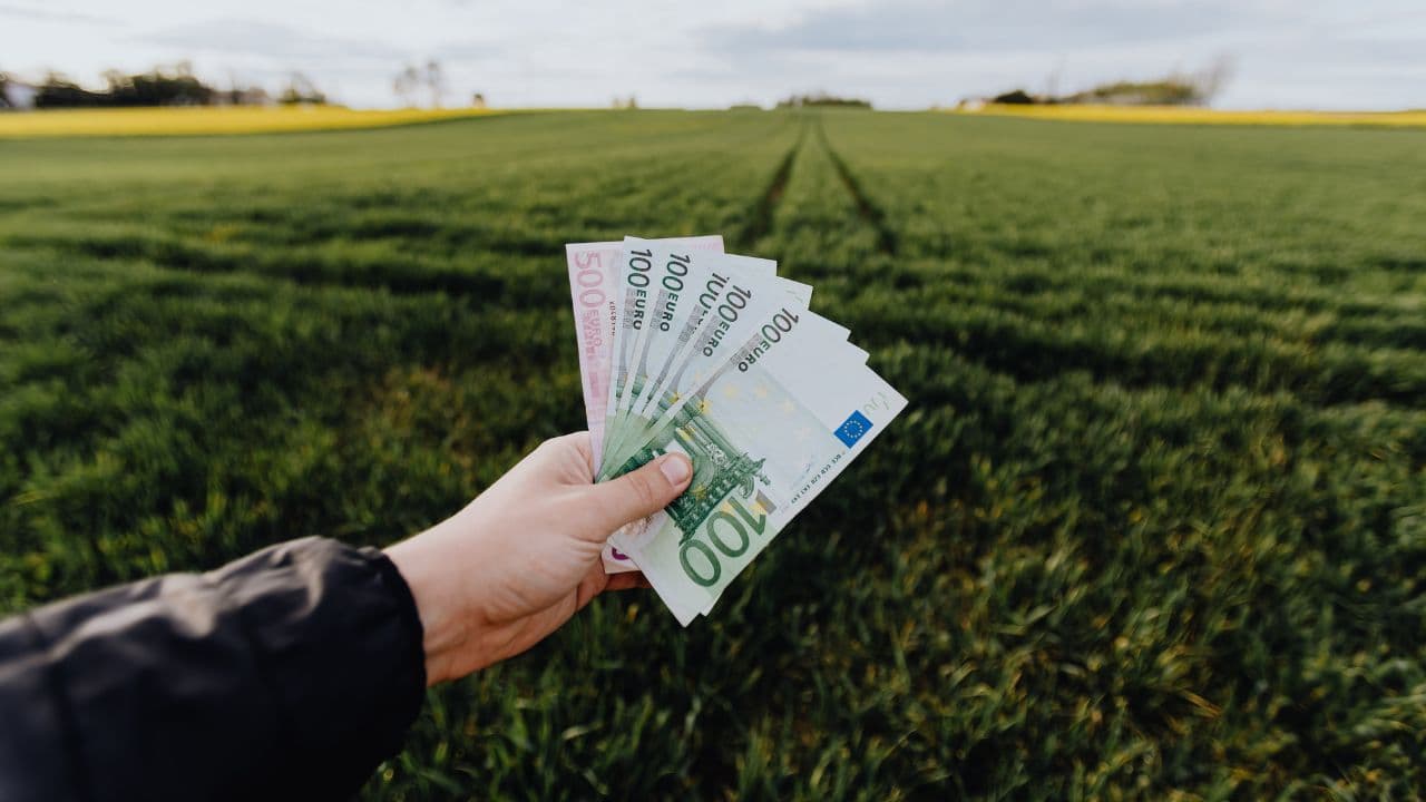 Fermieri: ”Situație dezastruoasă în domeniul creditării sectorului agrar”