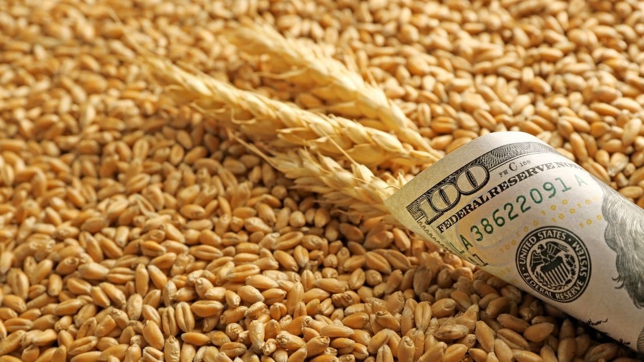CE propune prelungirea scutirii taxelor vamale pentru produsele ucrainene