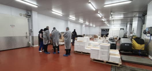 Percheziții la depozitele a cinci importatori de pește / VIDEO