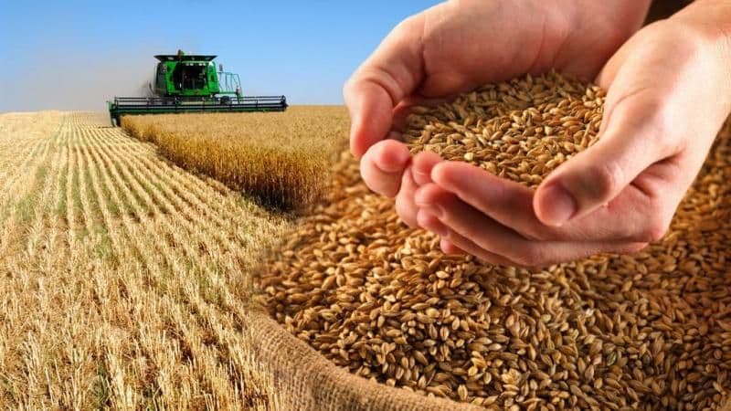 Principalii cumpărători de cereale şi oleaginoase din Moldova în 2022
