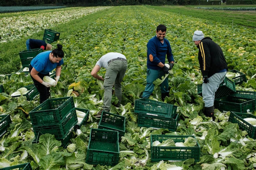 Subutilizarea forței de muncă constituie 81.000 de persoane