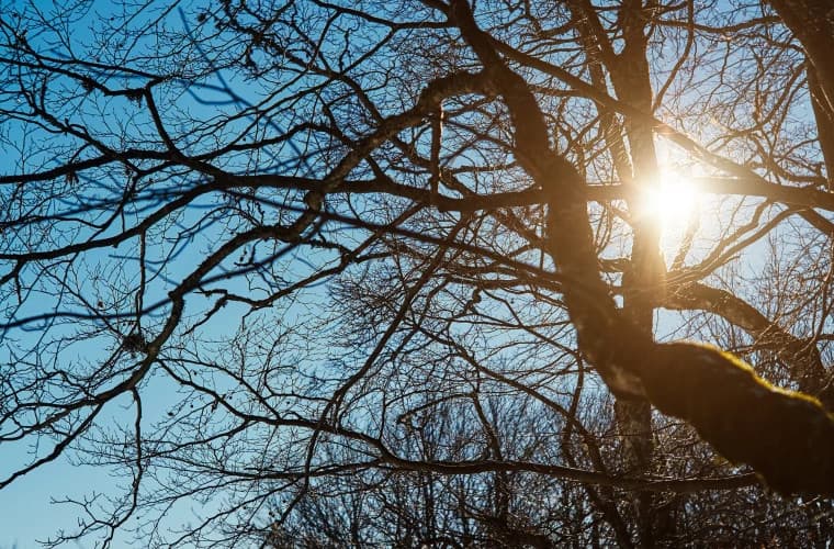 Meteo: Maxima aerului continuă să urce
