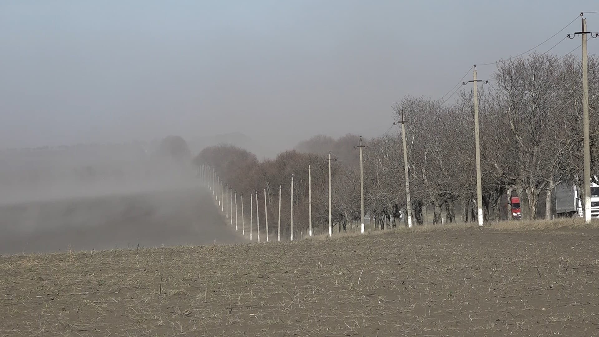 Și vântul provoacă pagube în agricultură / VIDEO