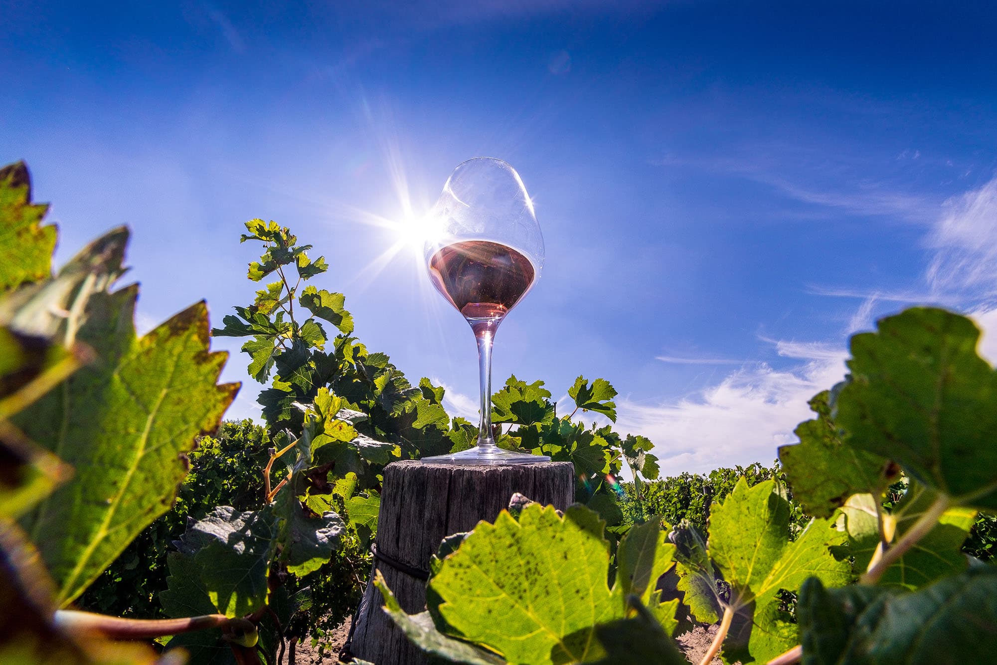 Moldova își reafirmă locul pe harta vinului mondial la ProWein 2025