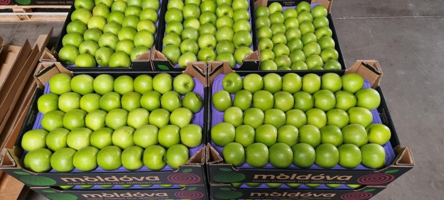 PREMIERĂ pentru exportatorii de mere. O nouă piață de desfacere