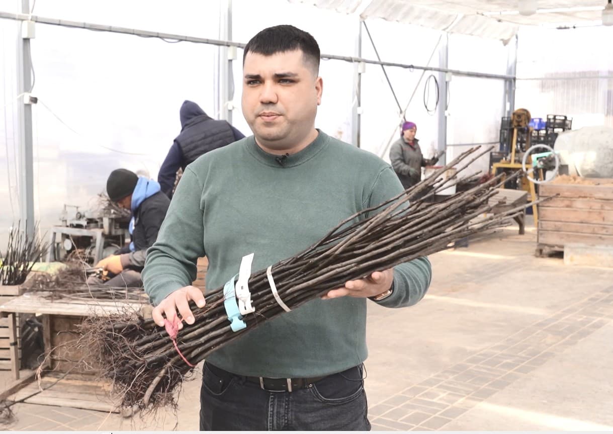 Raludor Expo – peste 200 de soiuri de puieți de pomi, viță de vie și pomușoare!