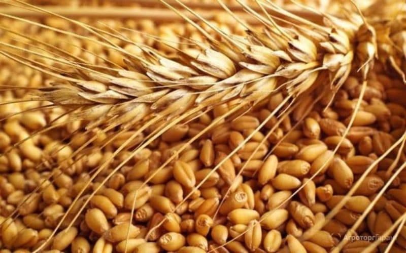 Ungaria vrea ca importurile de grâu ucrainean să rămână interzise