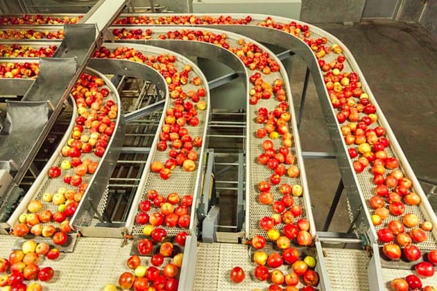 55 de milioane de dolari vor fi investiți în sectorul agroindustrial