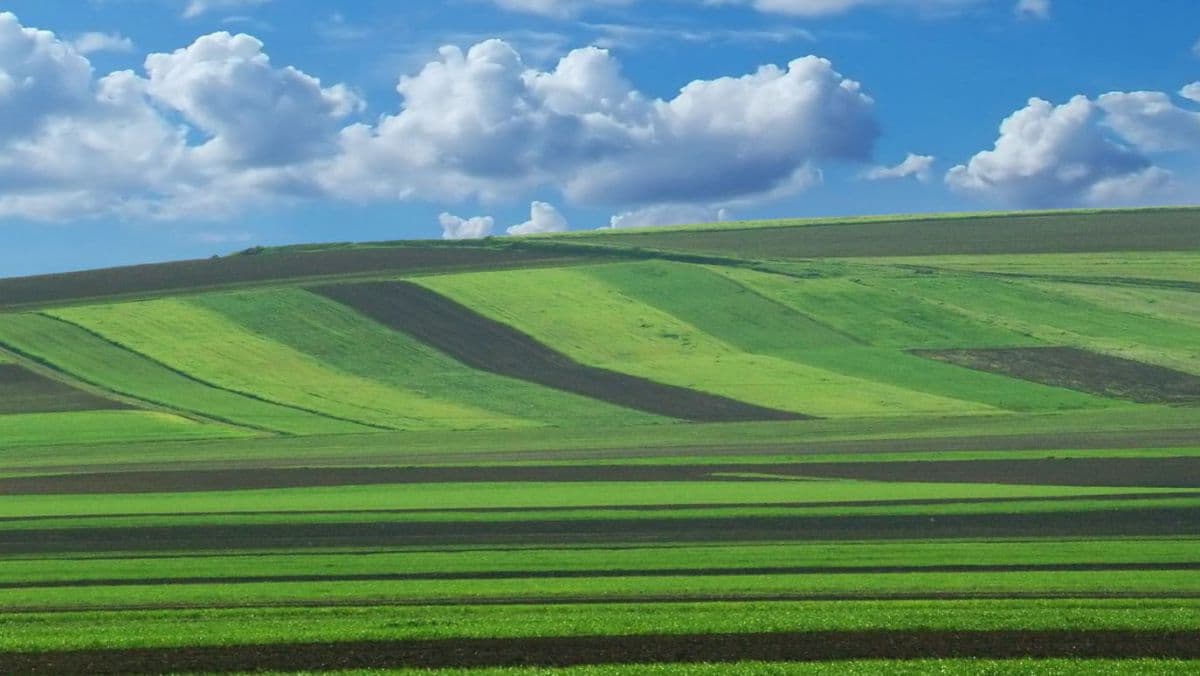 Subvenții pentru deținătorii de terenuri agricoli