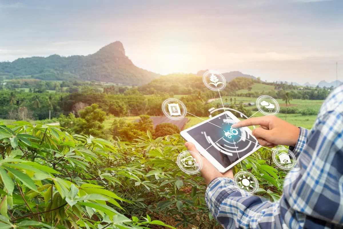 Digitalizarea – o soluție durabilă pentru sectorul agricol