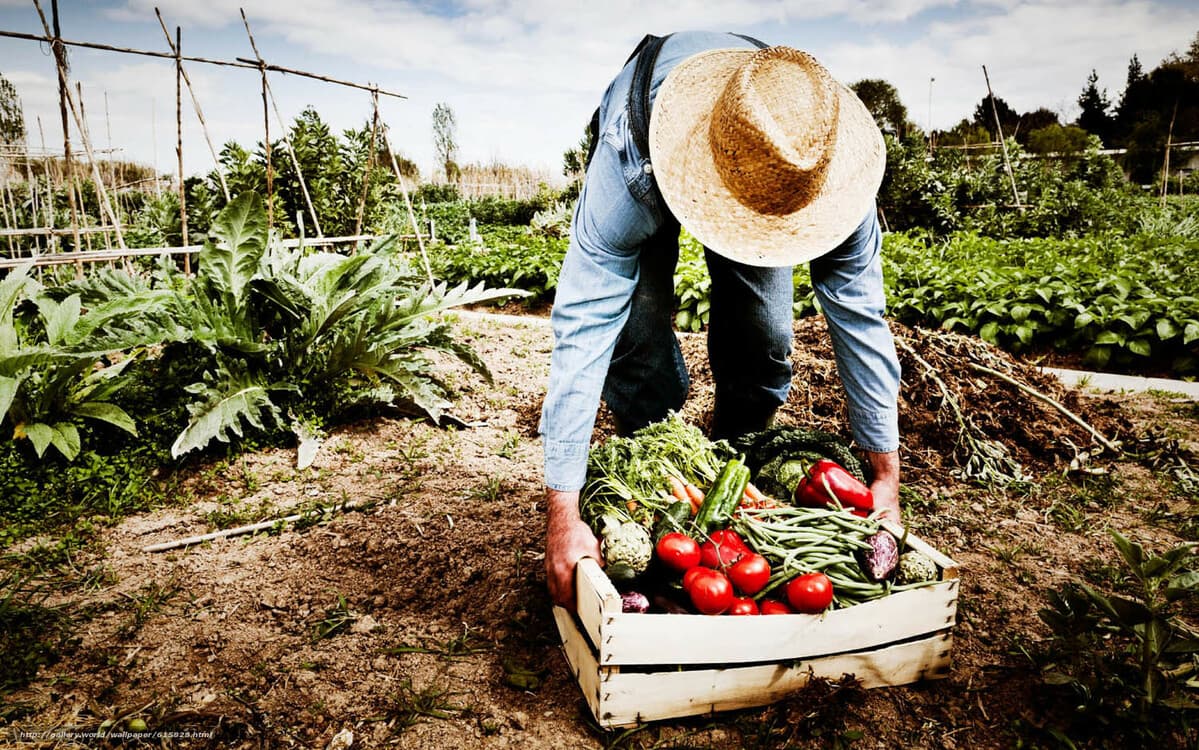 În perioada 30 ianuarie - 3 februarie 2024 în localitatea Izmir va avea loc expoziția AGROEXPO IZMIR 2024