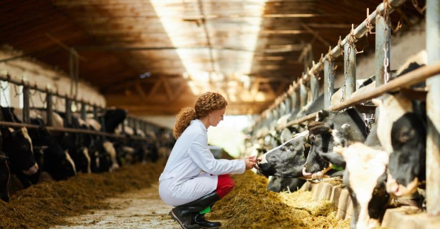 Agricultorii vor fi stimulați să înființeze noi ferme