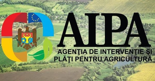 Fermierii solicită peste 660 milioane lei pentru subvenții în avans și investiții pe etape