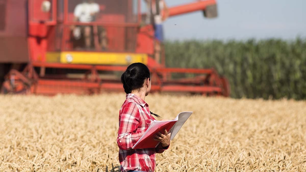 Femeile din mediul rural – actori esențiali ai transformării agricole