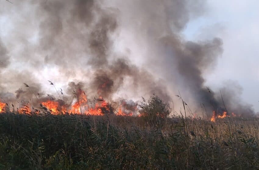 CODUL GALBEN de pericol de incendii, prelungit