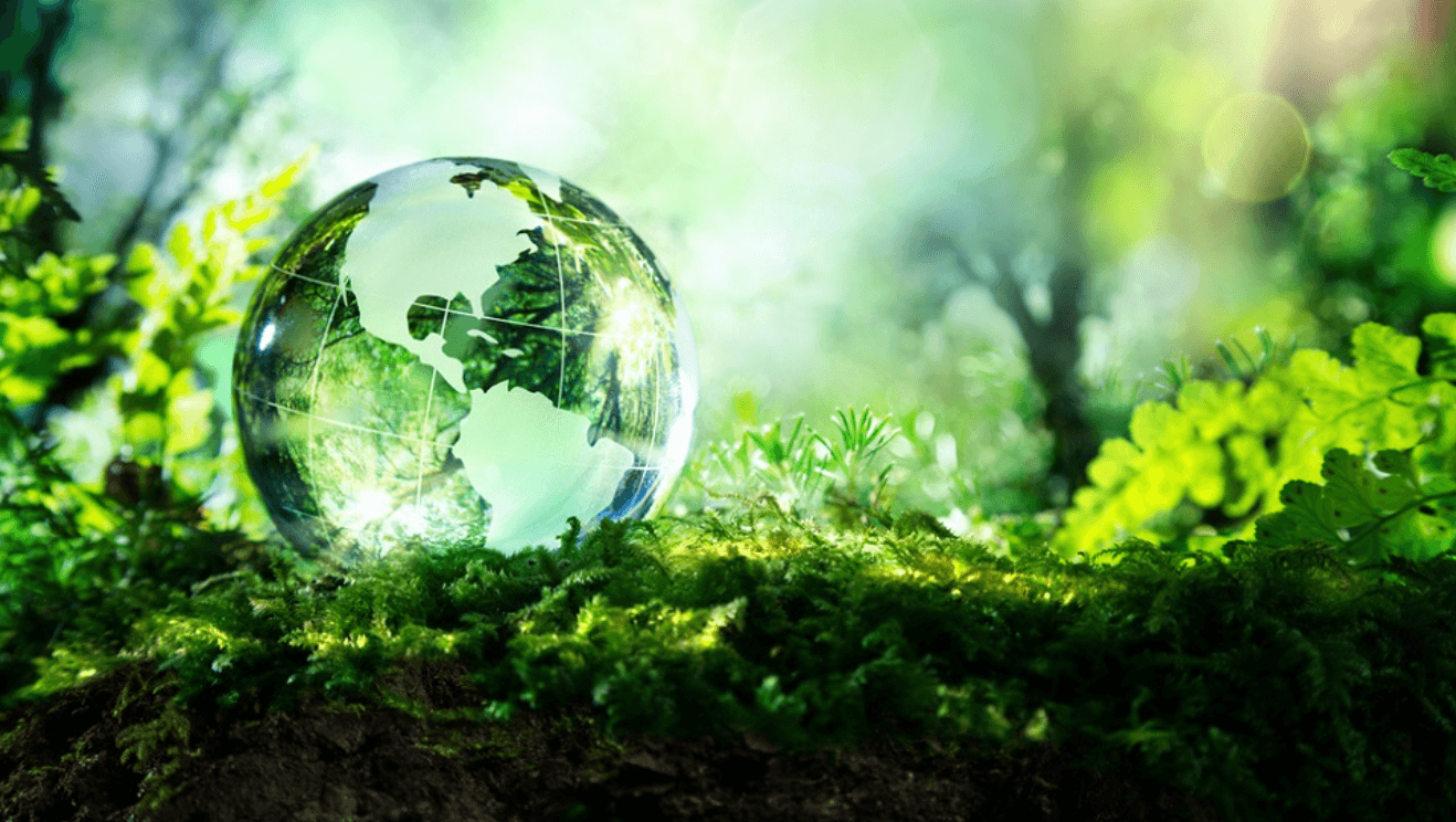 Ziua Mediului: Mai puțin plastic, mai multă biodiversitate