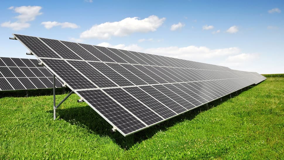 Păşunat solar – beneficii pentru industria energetică şi sectorul creşterii ovinelor