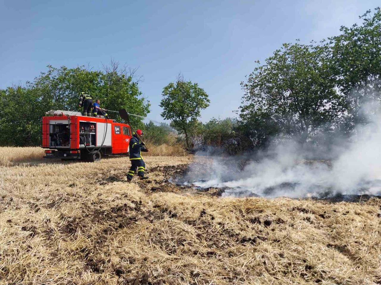 Aproximativ 150 de hectare de vegetație, nimicite de flăcări
