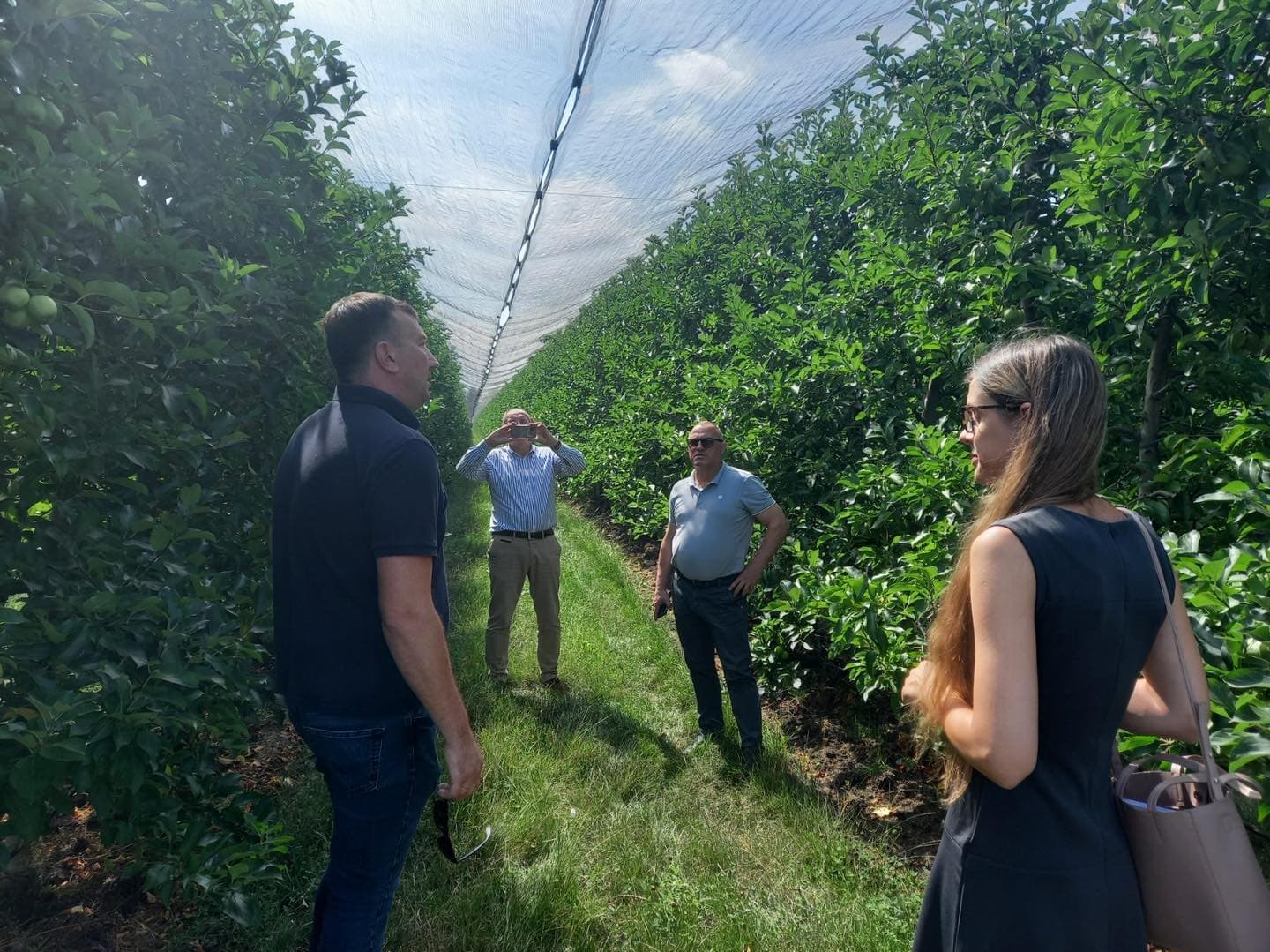 Importatorii olandezi au vizitat livezile moldovenești