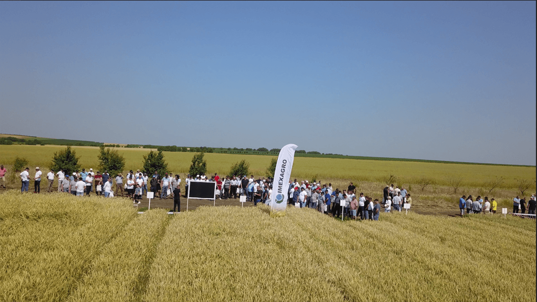 „Ziua Câmpului” – un eveniment special, organizat de IMEXAGRO!