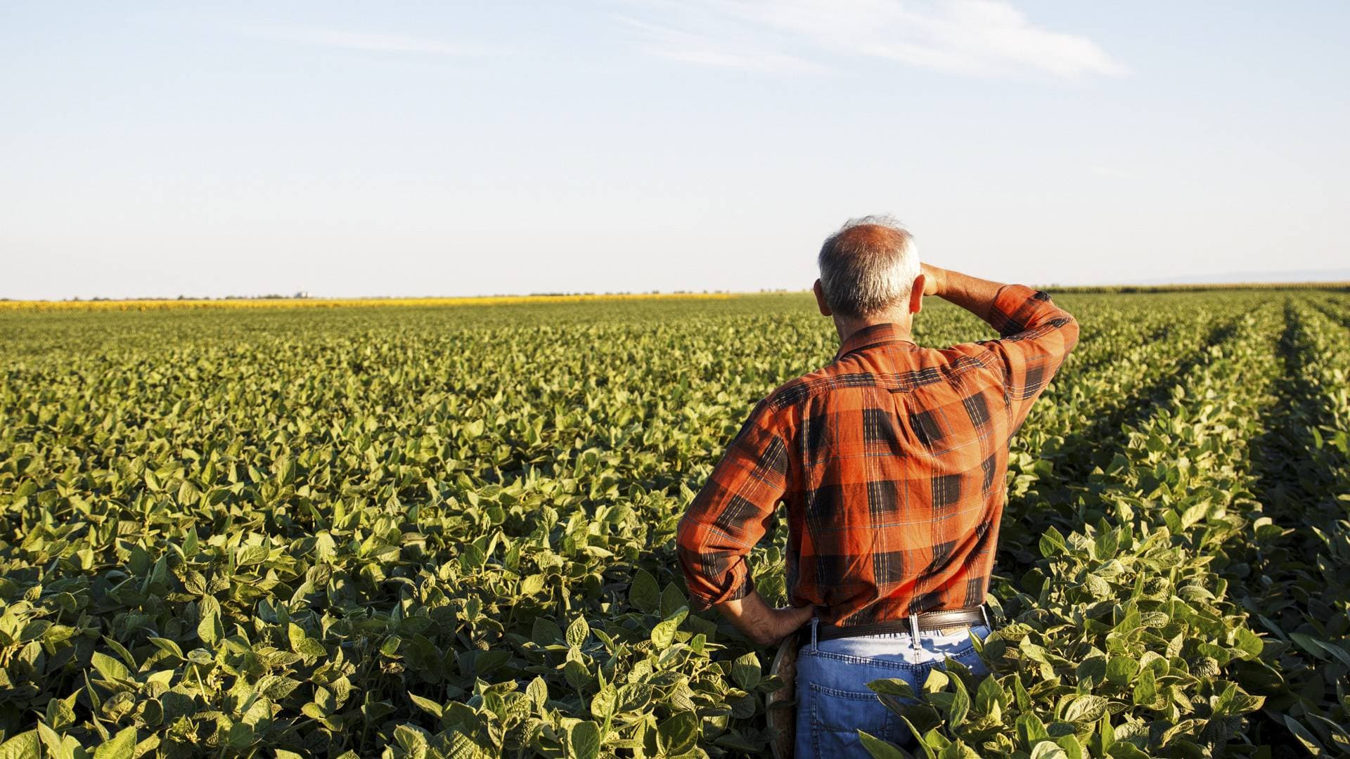 Situația în sectorul agroindustrial: Ce urmează să întreprindă fermierii?