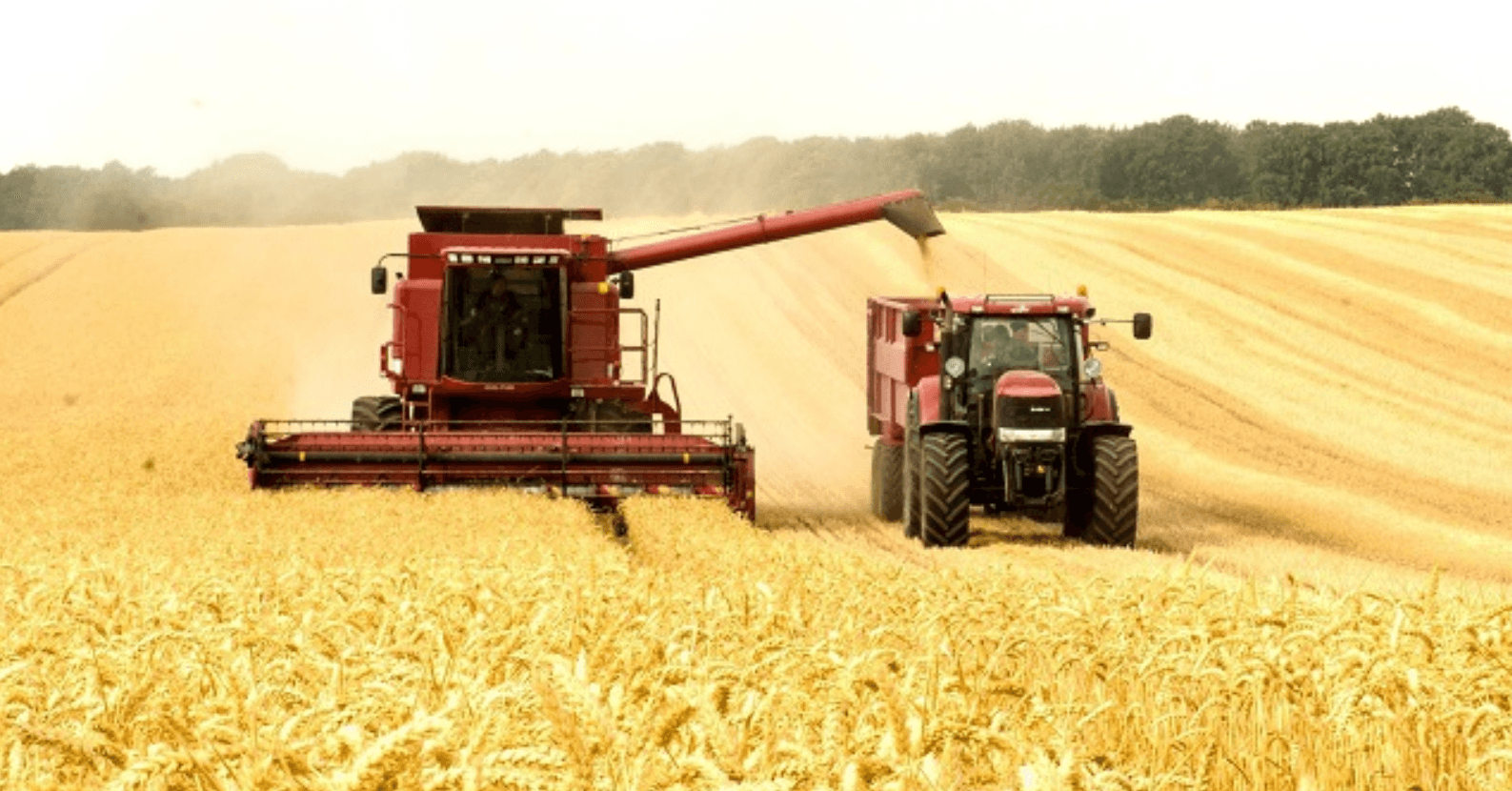 În a patru duminică din noiembrie este Ziua Agricultorului. Care sunt realizările ministerului Agriculturii în acest sector