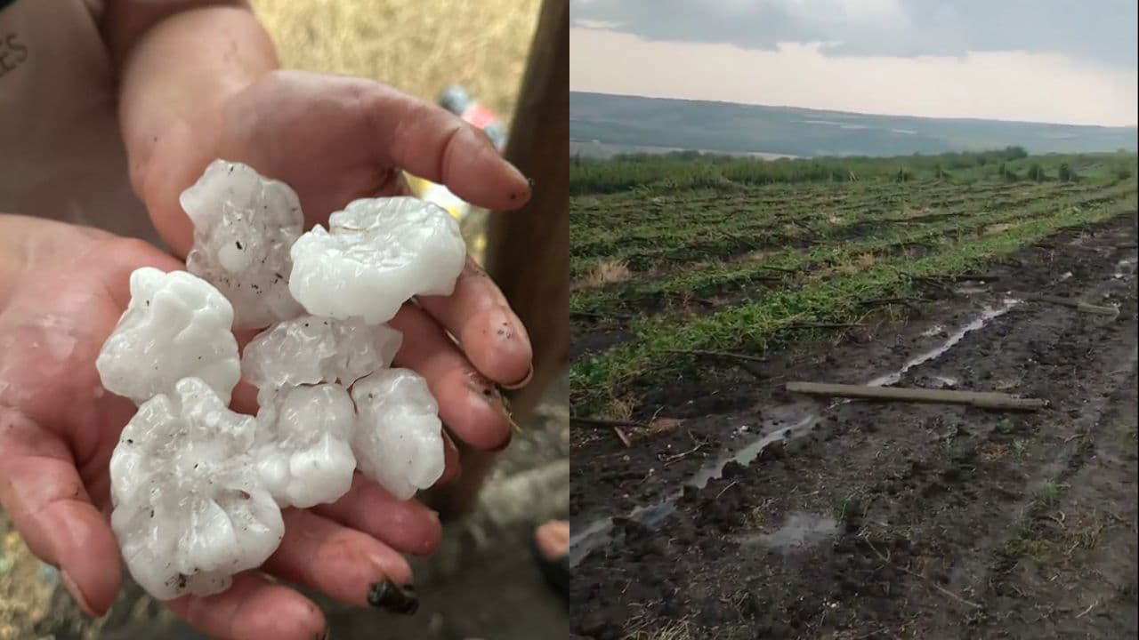 Ministrul Agriculturii asigură fermierii cu ajutor financiar
