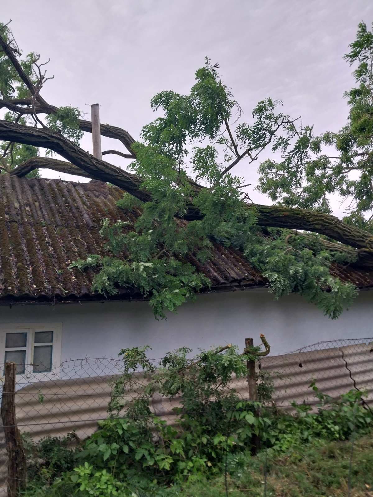 Pagube imense după intemperiile din ultimele zile