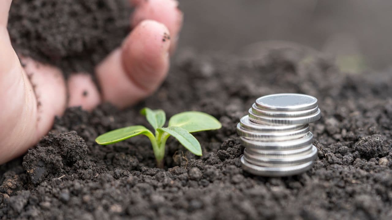 Subvențiile în agricultură: zeci de cauze penale, dar riscurile de corupție persistă