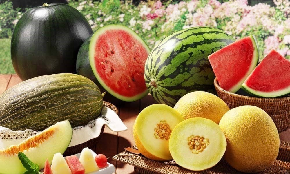 Cum alegem corect pepenii verzi și galbeni? ANSA recomandă