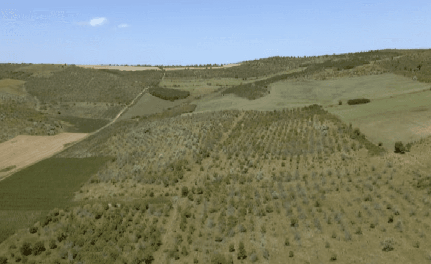 250 de mii de hectare de teren agricol zac în paragină