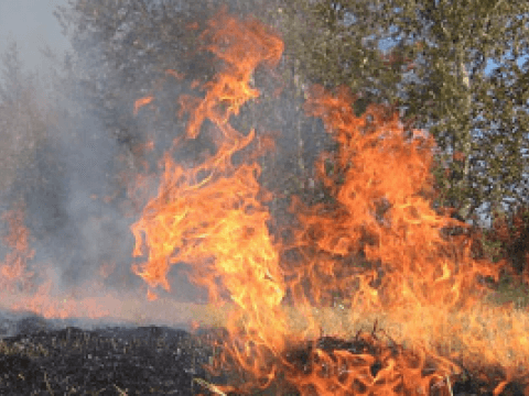 Codul Galben de pericol de incendiu, prelungit