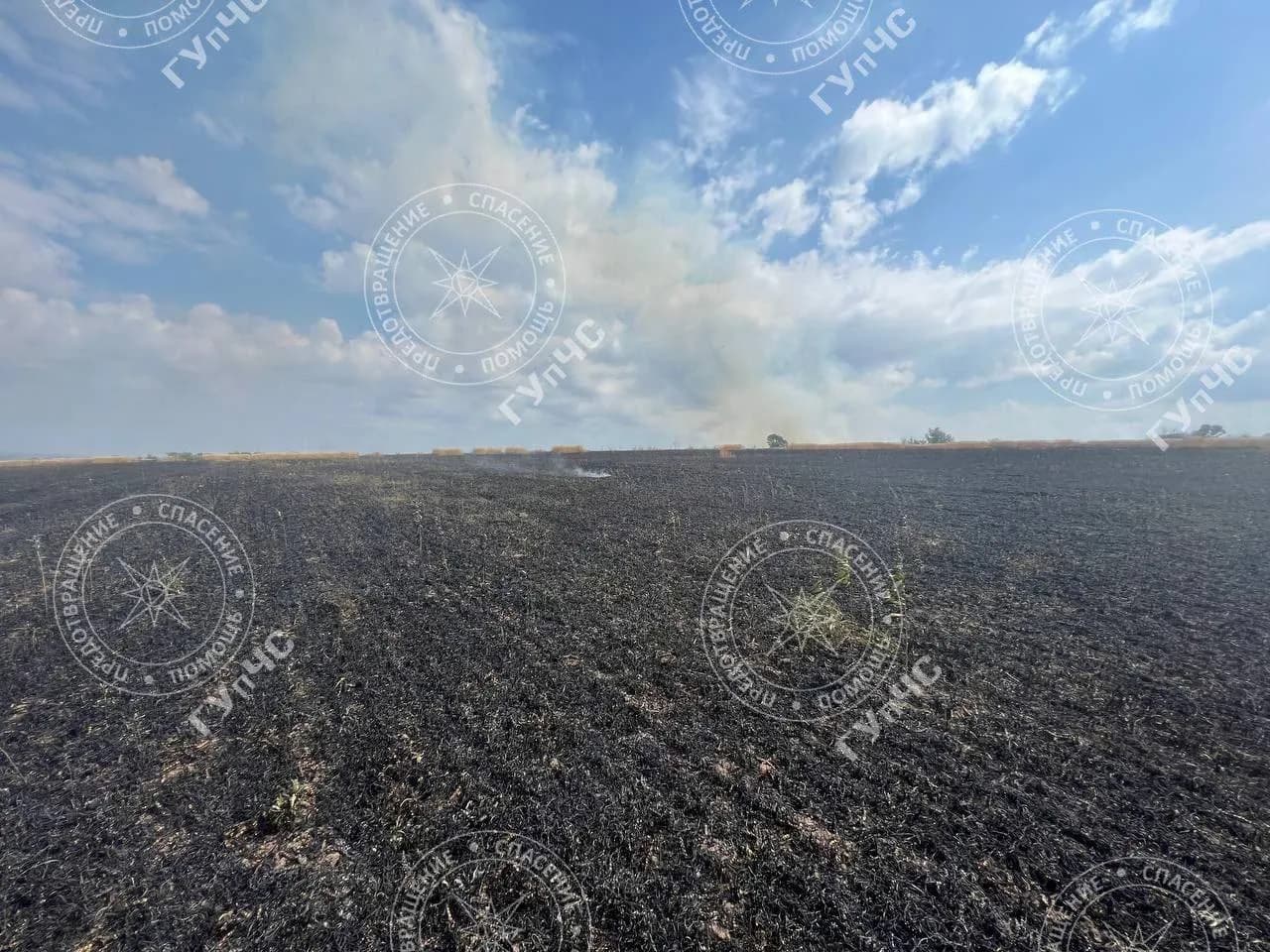 Incendiu într-un lan de grâu din stânga Nistrului