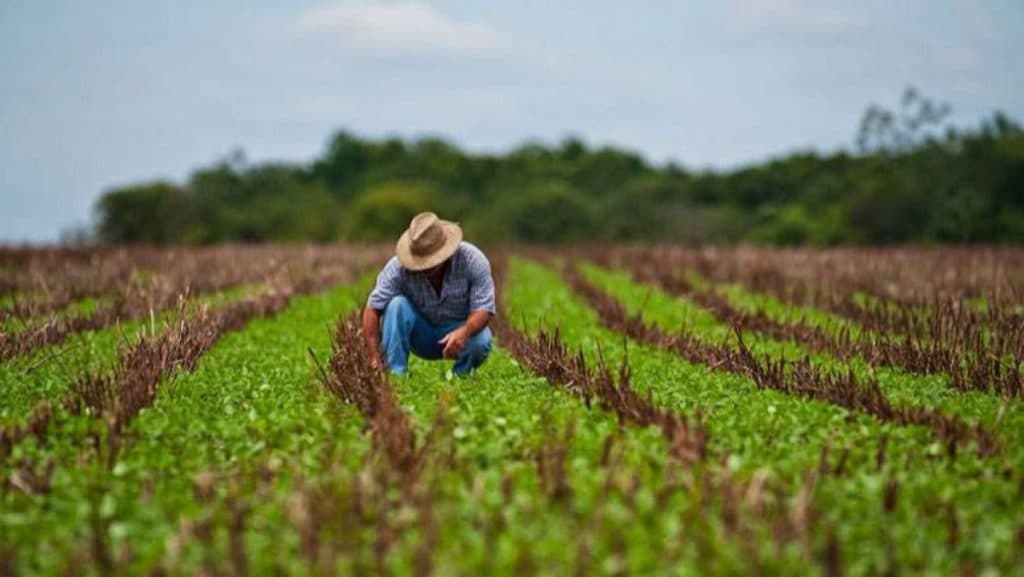 Numărul agricultorilor care își asigură producția împotriva pagubelor scade