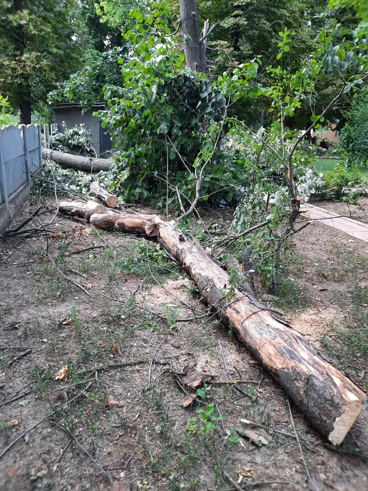 Controale inopinate la Leova! Încălcări grave în preajma azilului de bătrâni / FOTO