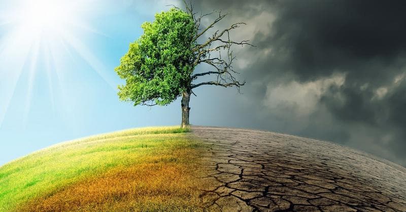 Programul național de adaptare la schimbările climatice, aprobat