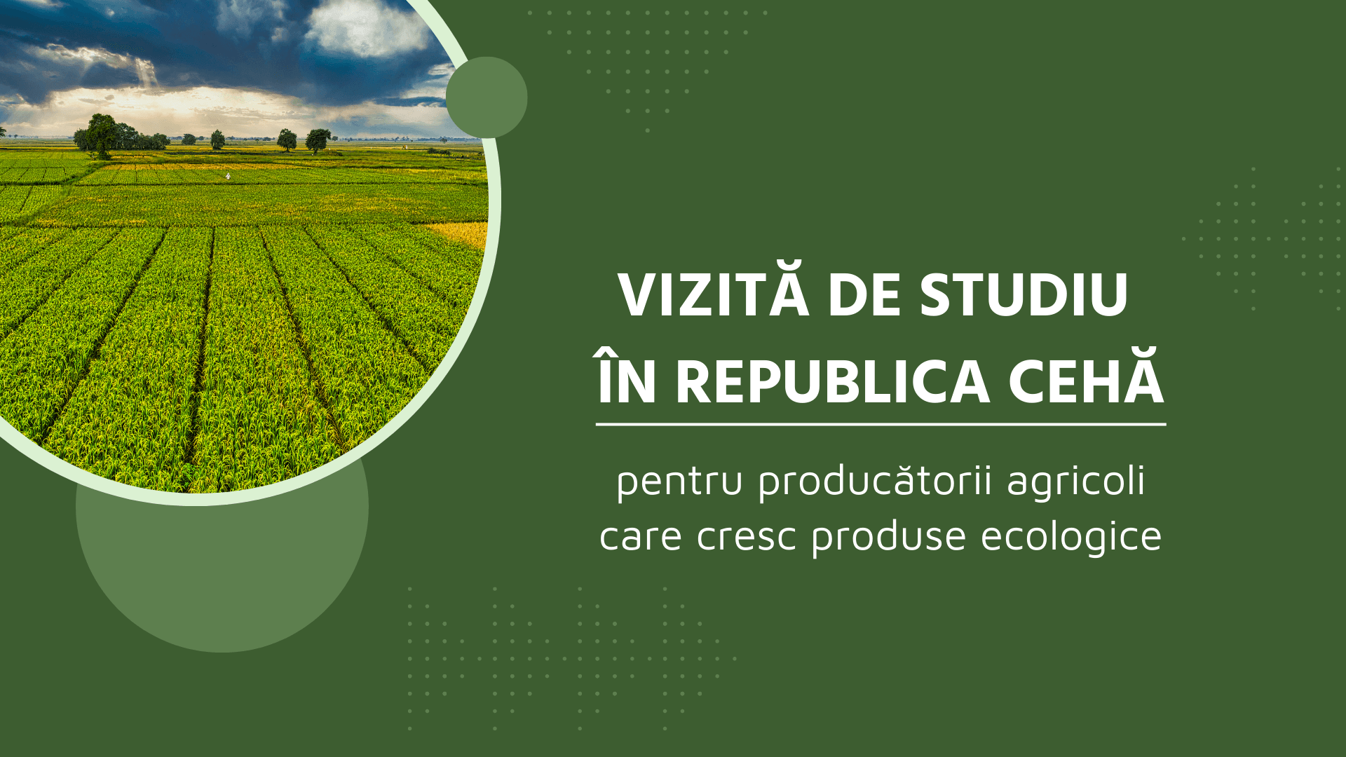 Vizită de studiu în Cehia pentru agricultorii care cultivă produse eco