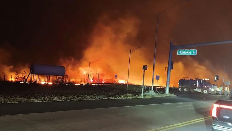 Incendiile de vegetație fac prăpăd în Hawaii