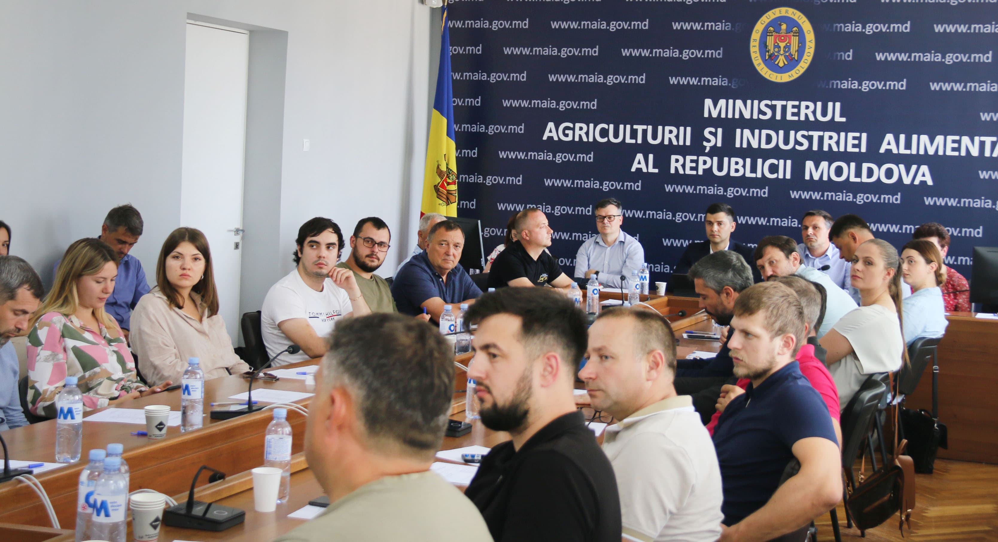 Aportul micilor producători de vinuri – inspirație pentru investitori