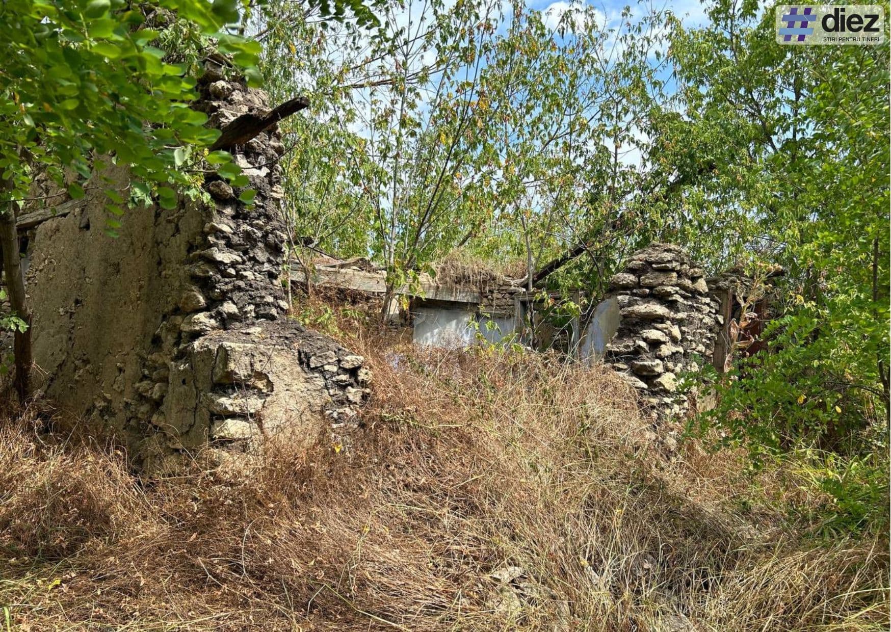 Tot mai multe sate pustii. Nistreni este unul dintre ele / FOTO
