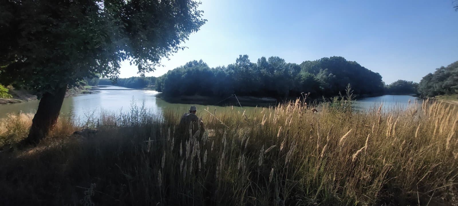 Tot mai multe cazuri de braconaj / FOTO
